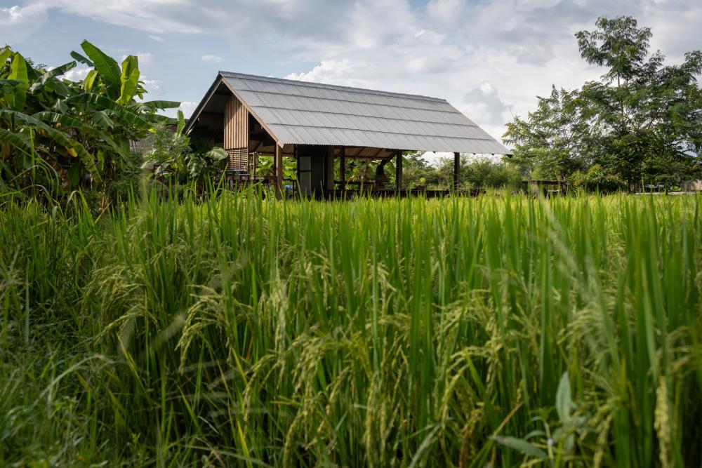 ไอเดียศาลายางนา รูปที่ 25