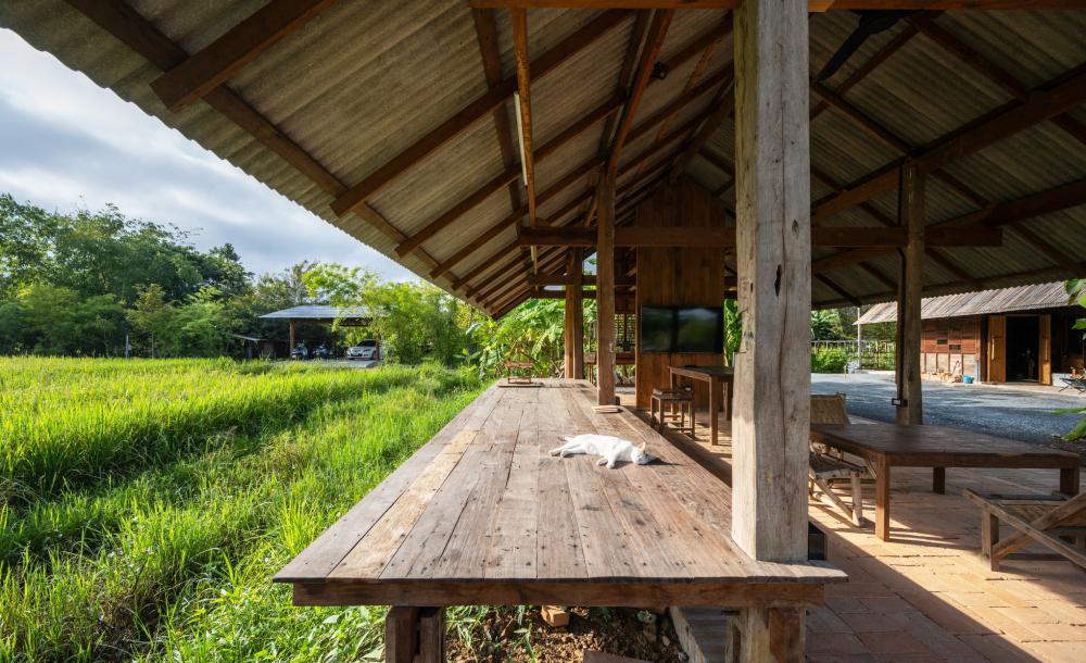 ไอเดียศาลายางนา รูปที่ 3