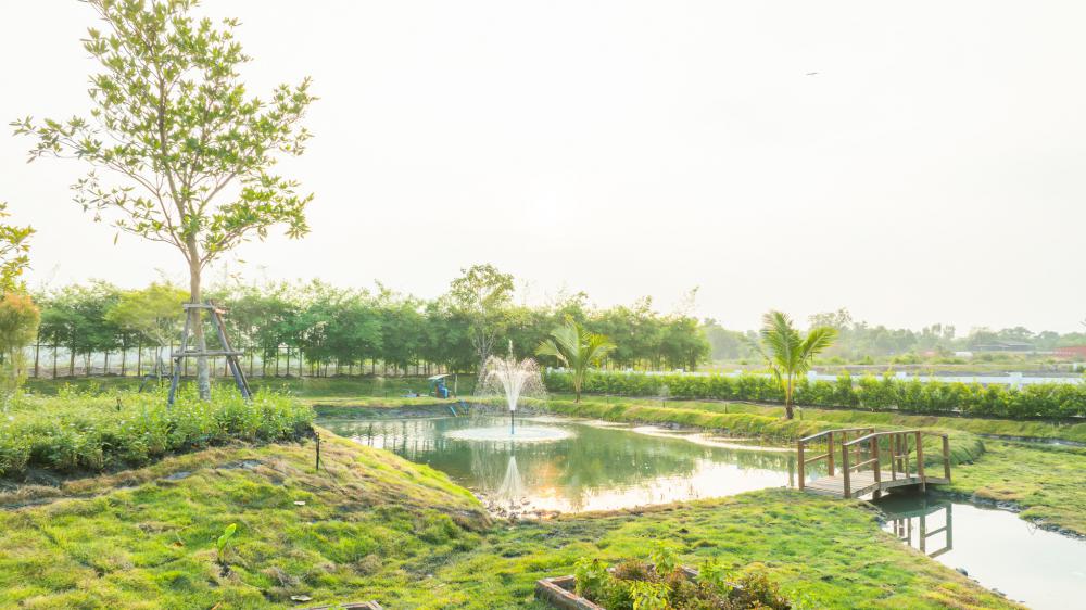 ไอเดียบ้านหลังเล็กแบบมินิมอล และจัดสวนน่ารักน่าอยู่ รูปที่ 23