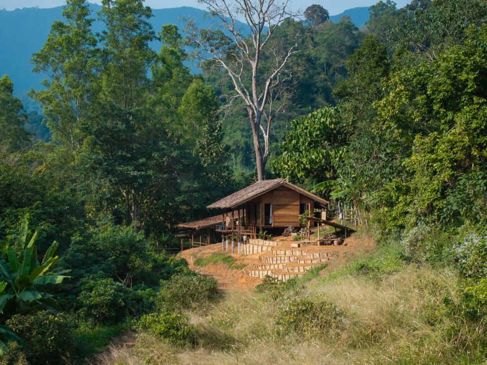 บ้านไทยชั้นเดียวของ คุณ แจ๊ค แฟนฉัน รูปที่ 8