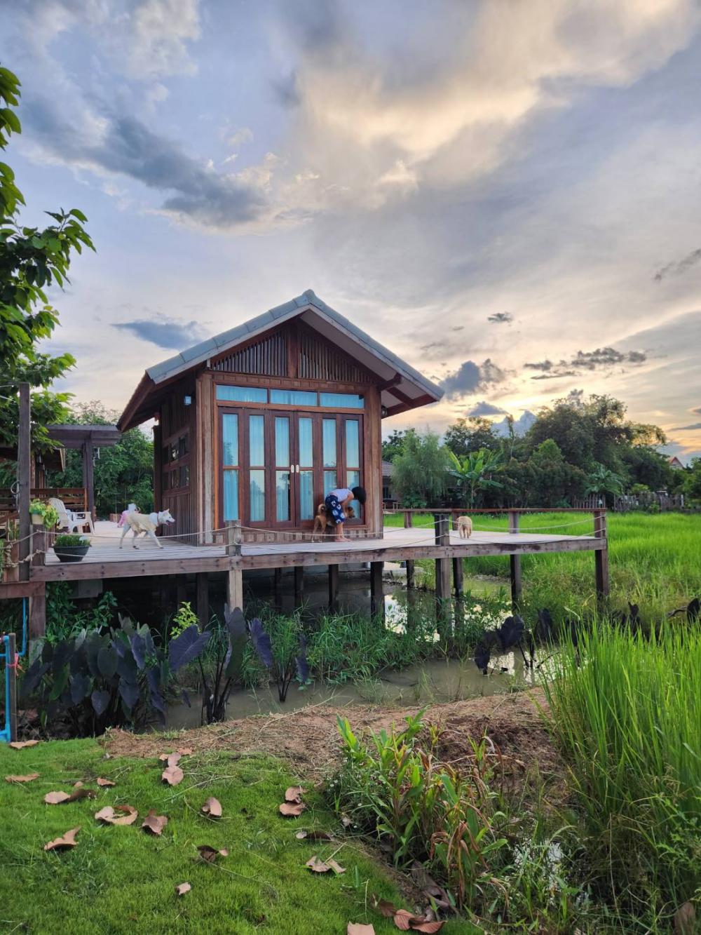 Chann Jiva FarmStay Thailand สไตล์บ้านนาบ้านสวนสวย รูปที่ 8
