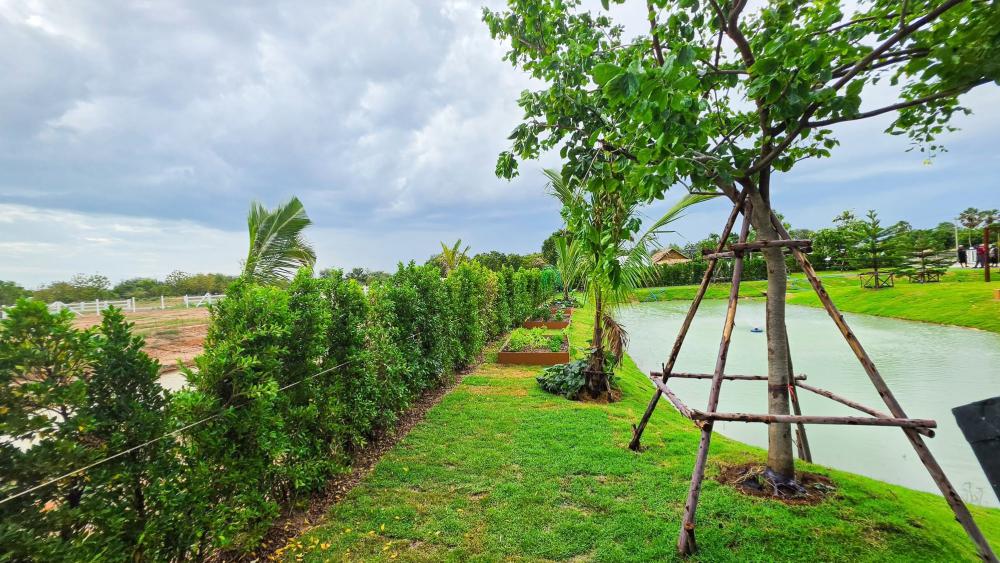 บ้านมินิมอลนอร์ดิกและสวนในบ้าน ออกแบบได้ธรรมชาติและน่าอยู่ รูปที่ 10